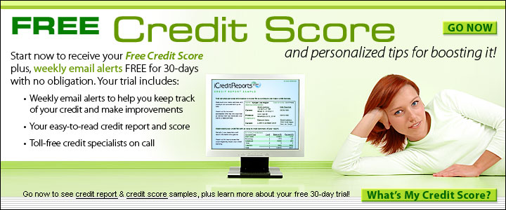 Unlimited Credit Reports